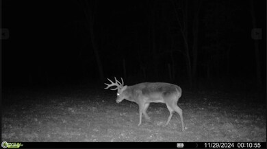 185th St, Trenton, IA 52641 - photo 4