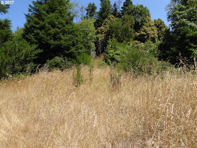 94402 Bear Mountain Rd unit 102, Gold Beach, OR 97444 - photo 7