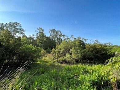 PRESERVE VIEW