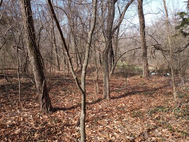 7509 Little St, Seligman, MO 65745 - photo 7