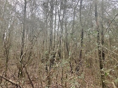 000 Old Hwy 24, McComb, MS 39648 - photo 7