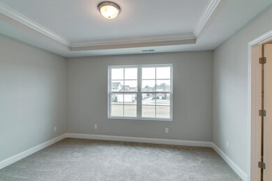 Trey Ceiling in Master Bedroom! Photo is an example of builder's work. Actual home built may vary.