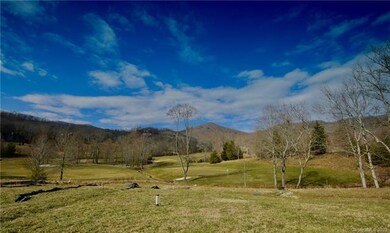 103 Somerset Rd unit 2, Arden, NC 28704 - photo 7