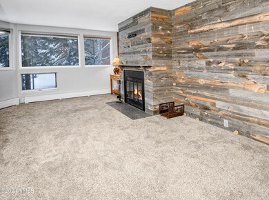 Pitkin-Crk-7N-MLS_07