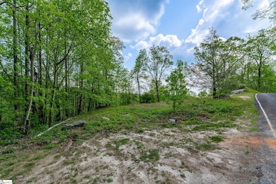 20 Falling Star Way, Landrum, SC 29356 - photo 2