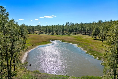 20239 Red Hill Rd, Clifton, AZ 85533 - photo 6