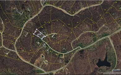 0 Tunnie Pt, Lot 229, aerial, mid