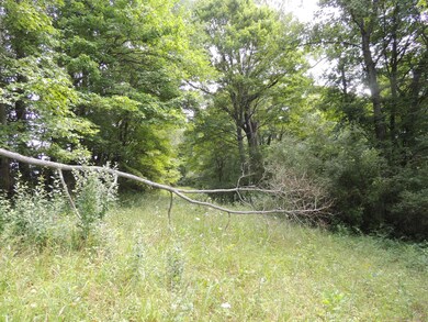 9026 Walnut Dowler Rd, Logan, OH 43138 - photo 7