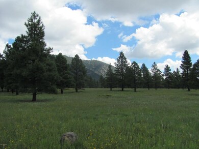 Pugh Lockett Ranches 16E 088