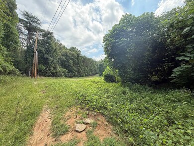 0 Lakeview Ave unit 11595410, Somerset, KY 42501 - photo 2