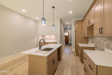 1036 Cummings St unit 1, Abingdon, VA 24211 - photo 4