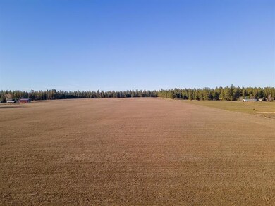 XXX N Division Rd, Deer Park, WA 99006 - photo 3