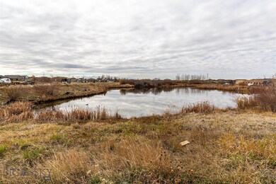 Pond across the street.