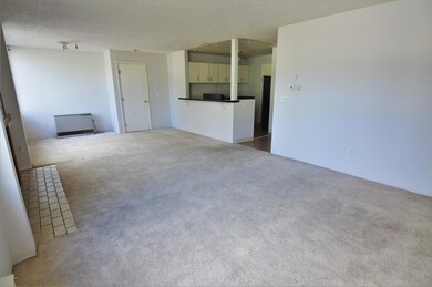 Open Living/Dining/Kitchen