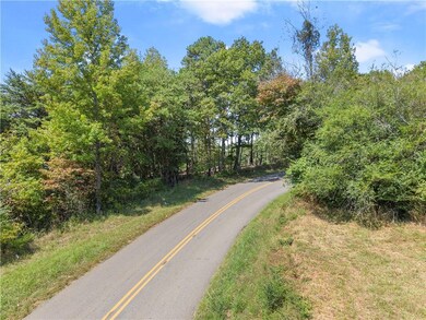 0 Black Knob Church Rd - Tract 3, Talking Rock, GA 30175 - photo 4