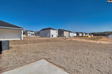 811 Cattle Egret Ln, Hopkins, SC 29061 - photo 7