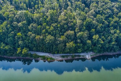 3 Island, Walling, TN 38567 - photo 7