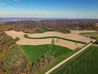 61+/-AC County Road M, Boscobel, WI 53805 - photo 4