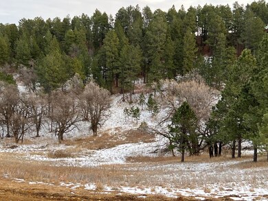 Lot 19 Summit Pass unit Dakota Highland Esta, Whitewood, SD 57793 - photo 2