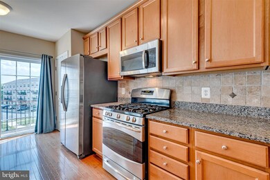 42589 Cardinal Trace Terrace, Ashburn, VA 20148 - photo 7