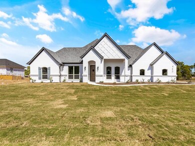 643 Winkler Way, Springtown, TX 76082 - photo 4