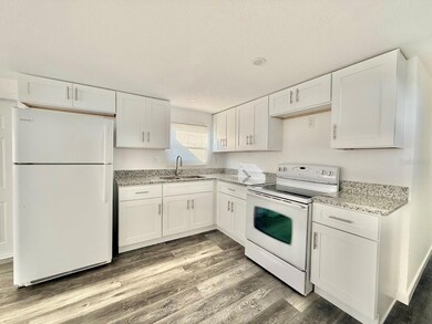 805 E Live Oak St, Wildwood, FL 34785 - photo 6