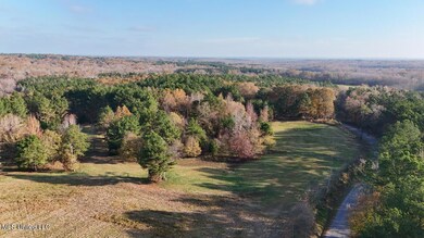 dji_fly_20241126_082928_0192_17326582977