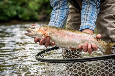 Lot 82 Fallen Leaf Rd, Mineral Bluff, GA 30559 - photo 7