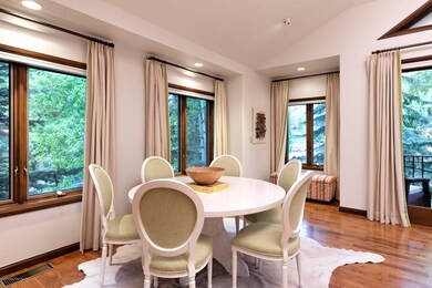 207 N 2nd St, Aspen, CO 81611 - photo 6