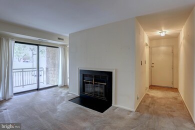 6003 Majors Ln unit 8, Columbia, MD 21045 - photo 7