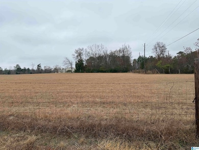 325 Washington Ave, Wellington, AL 36279 - photo 3