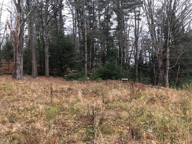 242 Daniel Webster Hwy, Center Harbor, NH 03226 - photo 5