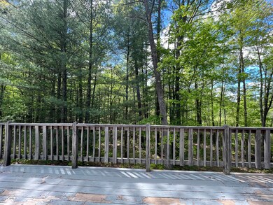 1951 W Lake Shore Dr, Bitely, MI 49309 - photo 4