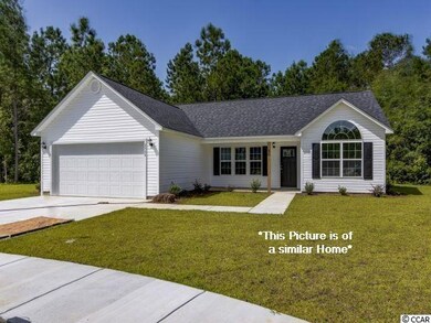 2507 Berleze Ct unit Lot 78, Conway, SC 29527 - photo 3