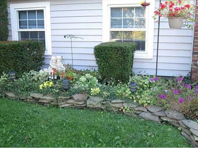 Yard/Garden Gorgeous flowers!!