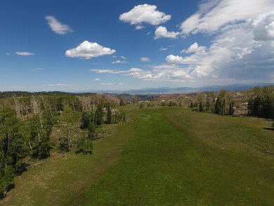 DJI_0245