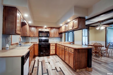 529 N Monroe St, Pittsfield, IL 62363 - photo 4