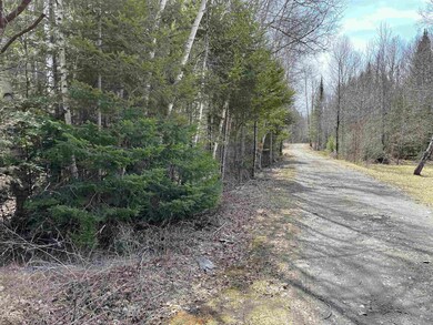 33 Leigh Ln unit 28, Colebrook, NH 03576 - photo 4