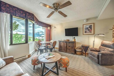 6 Emmons Rd unit 553, Crested Butte, CO 81225 - photo 5