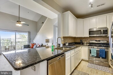 11310 Westbrook Mill Ln unit 303, Fairfax, VA 22030 - photo 3
