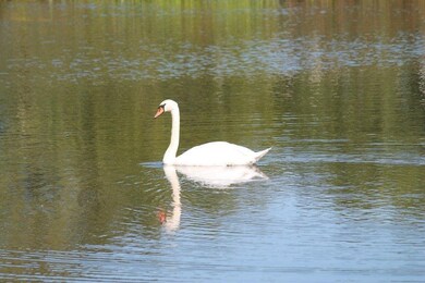 10 Deer Path, Aquinnah, MA 02535 - photo 5