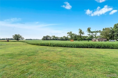 Lot 1 E Back St, Hecker, IL 62248 - photo 6