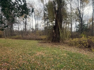 467 E Post Rd, White Cloud, MI 49349 - photo 4