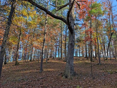 0 Paradise Ln, Bridgewater, VA 22812 - photo 7