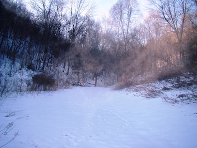 0 Old Gays Rd unit 25765679, Gays Mills, WI 54631 - photo 6