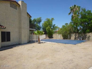 BACKYARD (1)