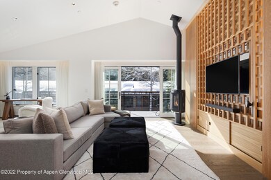 550 S Spring St unit 392, Aspen, CO 81611 - photo 4