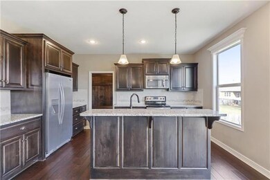 423 River Birch Rd, Raymore, MO 64083 - photo 6