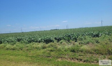 0 N Expressway 77 unit 29764105, Raymondville, TX 78580 - photo 6