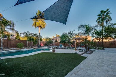 Backyard Oasis